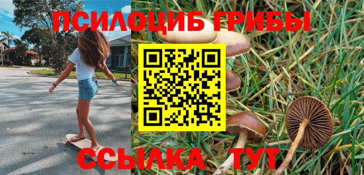 Галлюциногенные грибы прущие грибы  купить закладку  Комсомольск-на-Амуре  Вход с VPN  Галлюциногенные грибы Psilocybe 