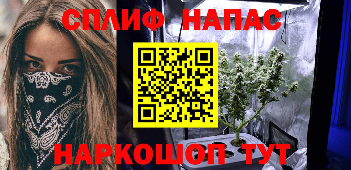 Бошки Шишки планчик Комсомольск-на-Амуре